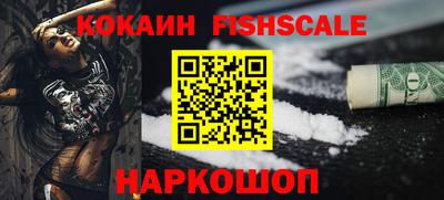 крисы Бийск
