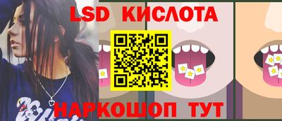 крисы Бийск