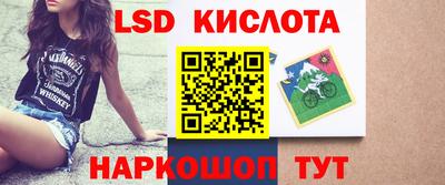 крисы Бийск