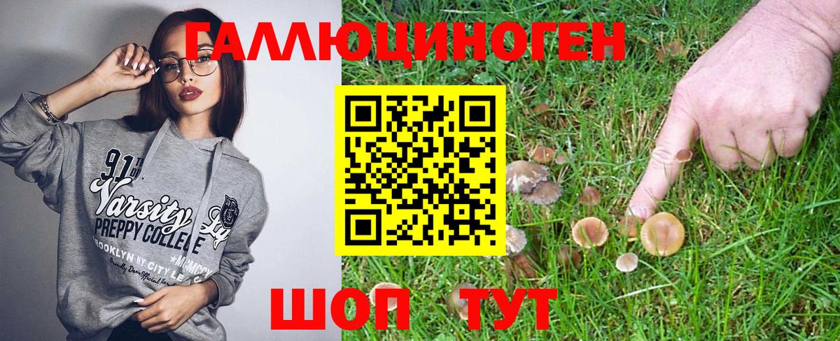 Галлюциногенные грибы GOLDEN TEACHER Гай