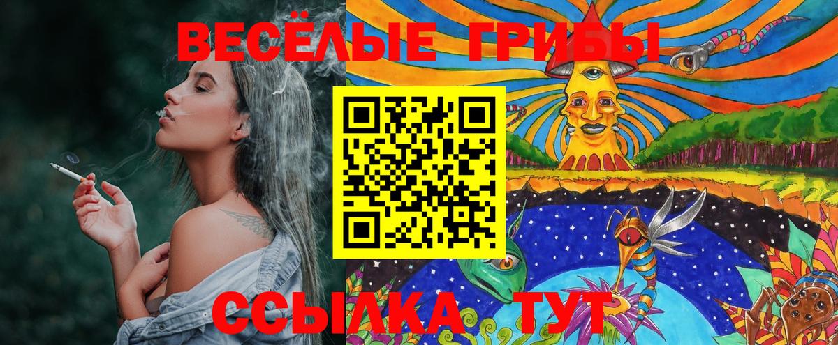 Гай  Псилоцибиновые грибы GOLDEN TEACHER  Вход с VPN 